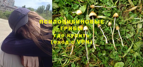 первитин Богородицк